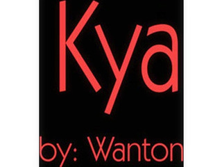 Tokyo sex shop's XXX collection fucks nippon toy.